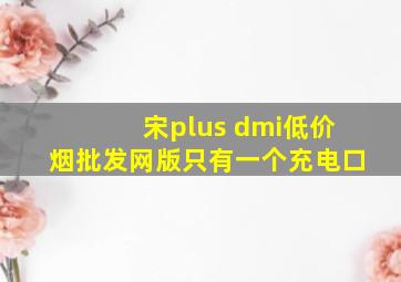 宋plus dmi(低价烟批发网)版只有一个充电口